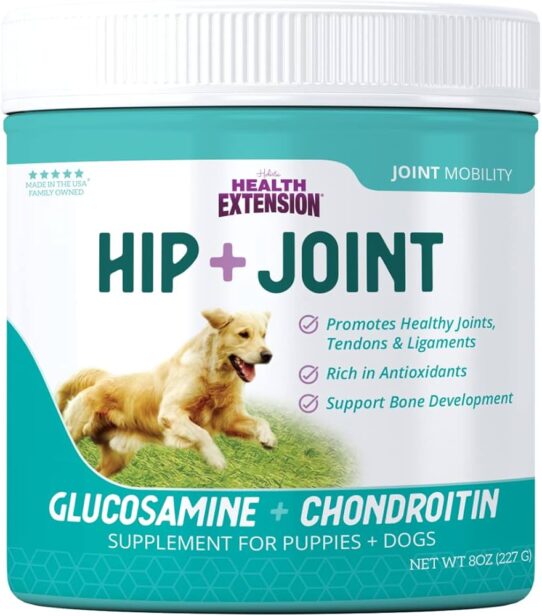 Hip and Joint